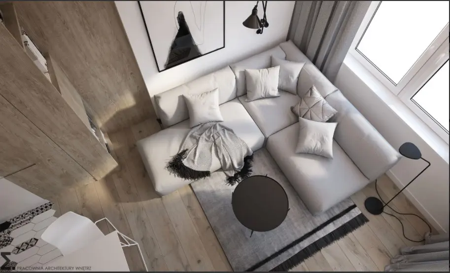 Widok z góry na salon | proj. Elementy