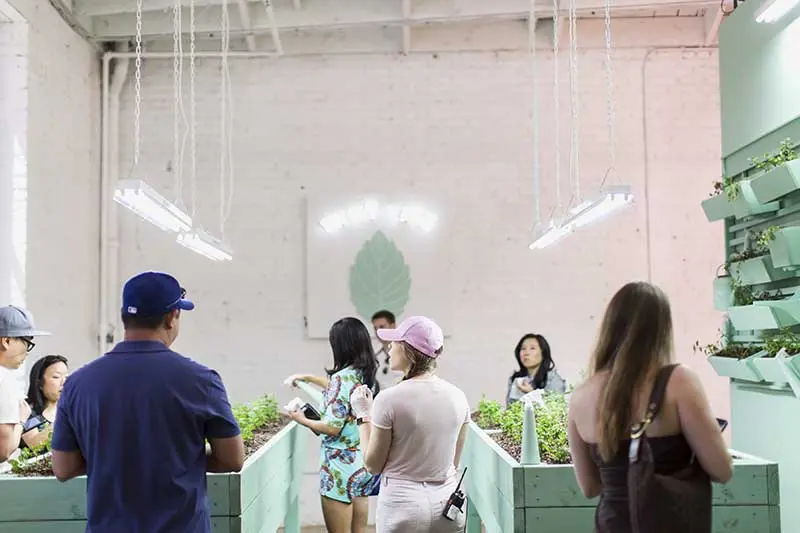 Oryginalne muzem w hołdzie słodkościom