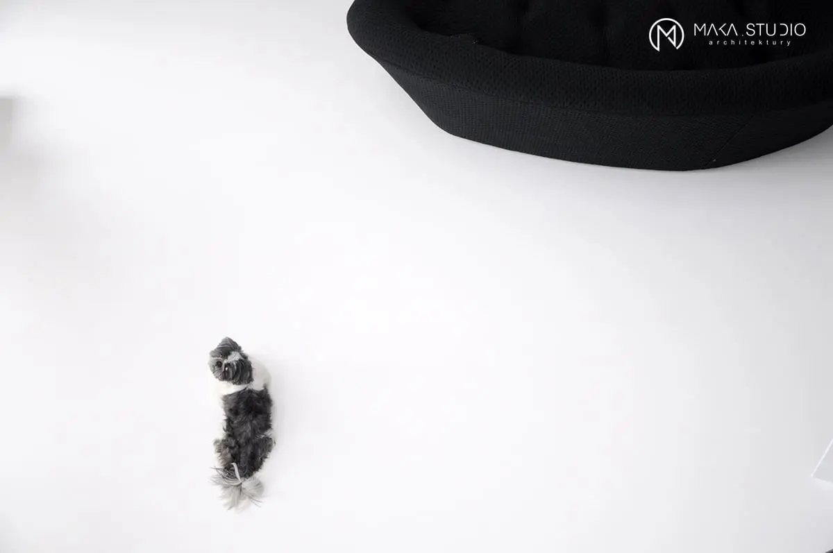 Dom w klimacie black & white | proj. MAKA.STUDIO, photo: Tom Kurek