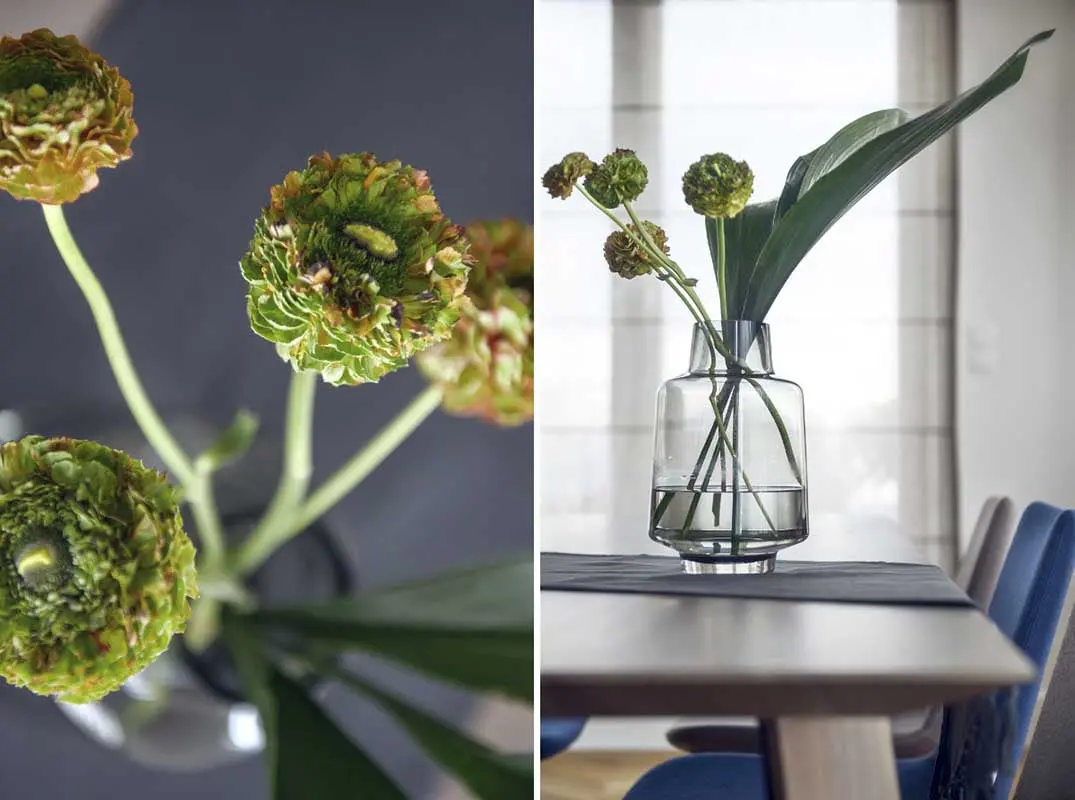 Rośliny są wspaniałą dekoracją wnętrza