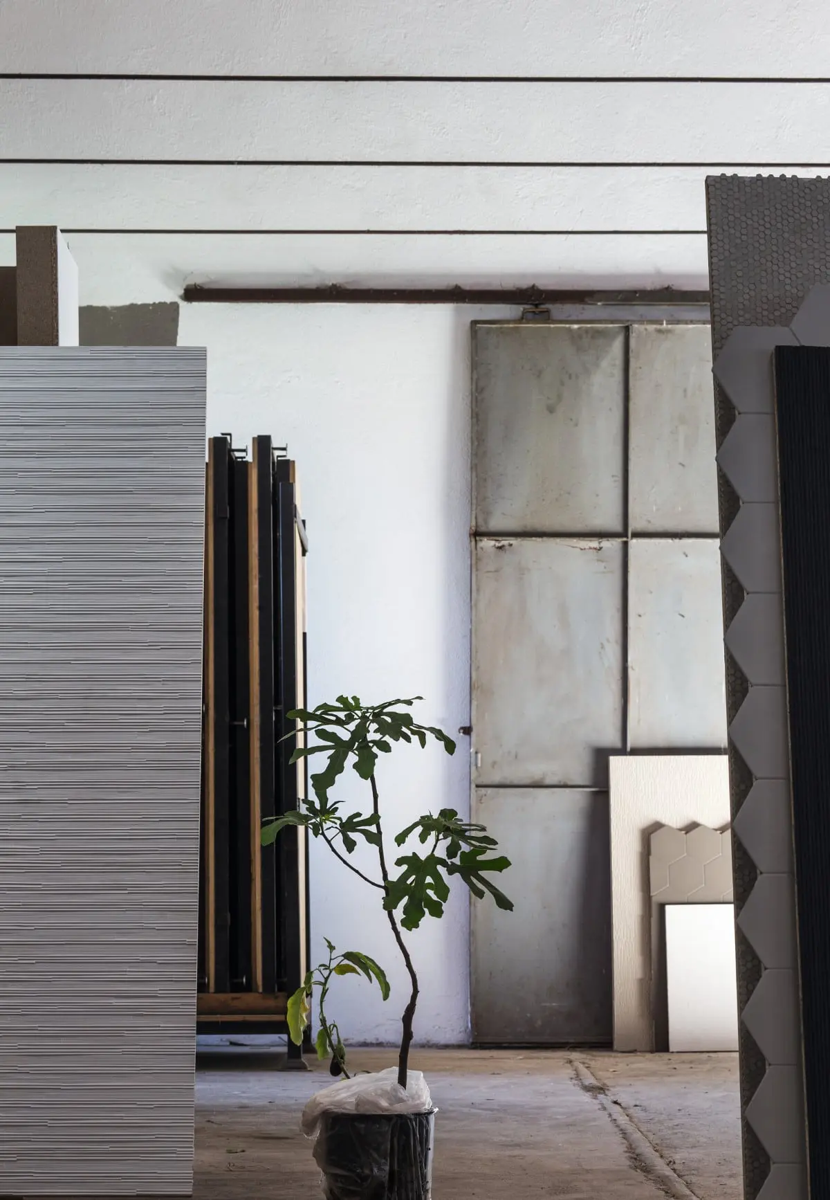 Kolekcja Phenomenon by Tokujin Yoshioka dla Mutiny