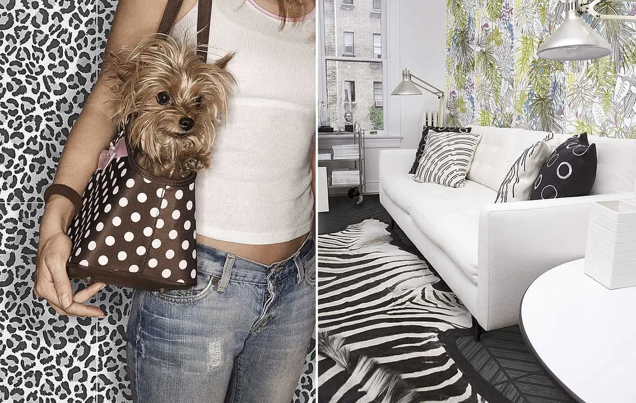 Ornametna kolekcja Jungle