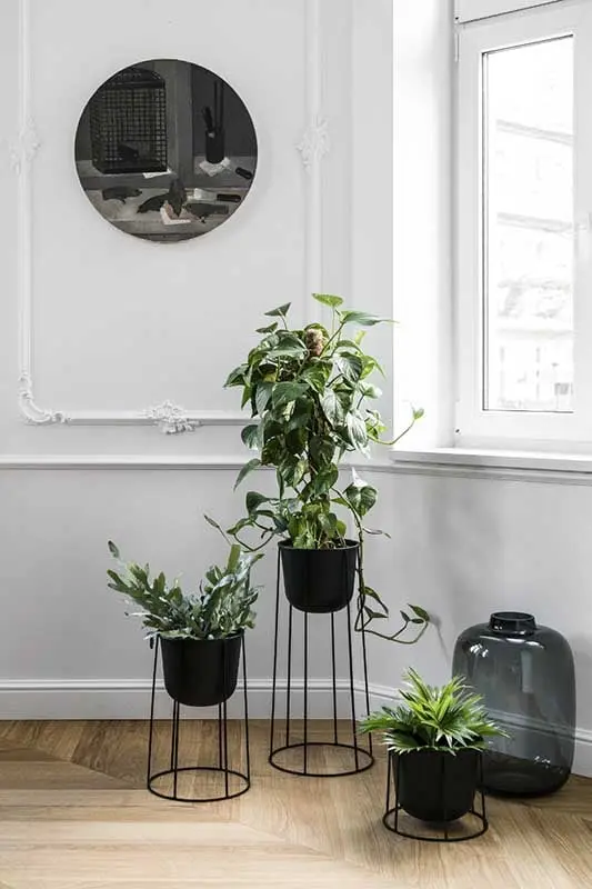 Piękna ekspozycja kwiatów w salonie | proj. Anna Maria Sokołowska Architektura Wnętrz, zdjęcie: Fotomohito