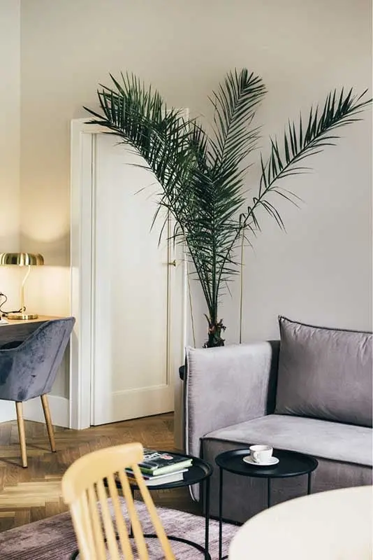 Akcent zieleni w domu musi się znaleźć (projekt: luumo.)