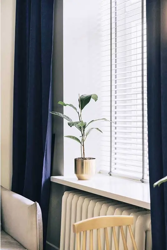 Akcent zieleni w domu musi się znaleźć (projekt: luumo.)