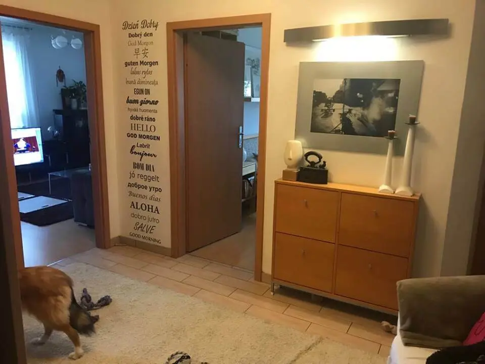 Mieszkanie przez metamorfozą