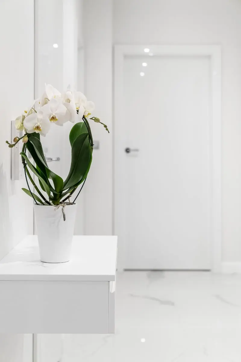 Przedpokój | proj. Studio Projekt (zdjęcie: Fotomohito)