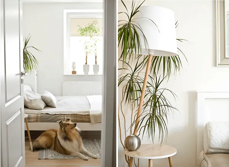 Metamorfoza mieszkania przeprowadzona przez biuro projektowe Miśkiewicz Design