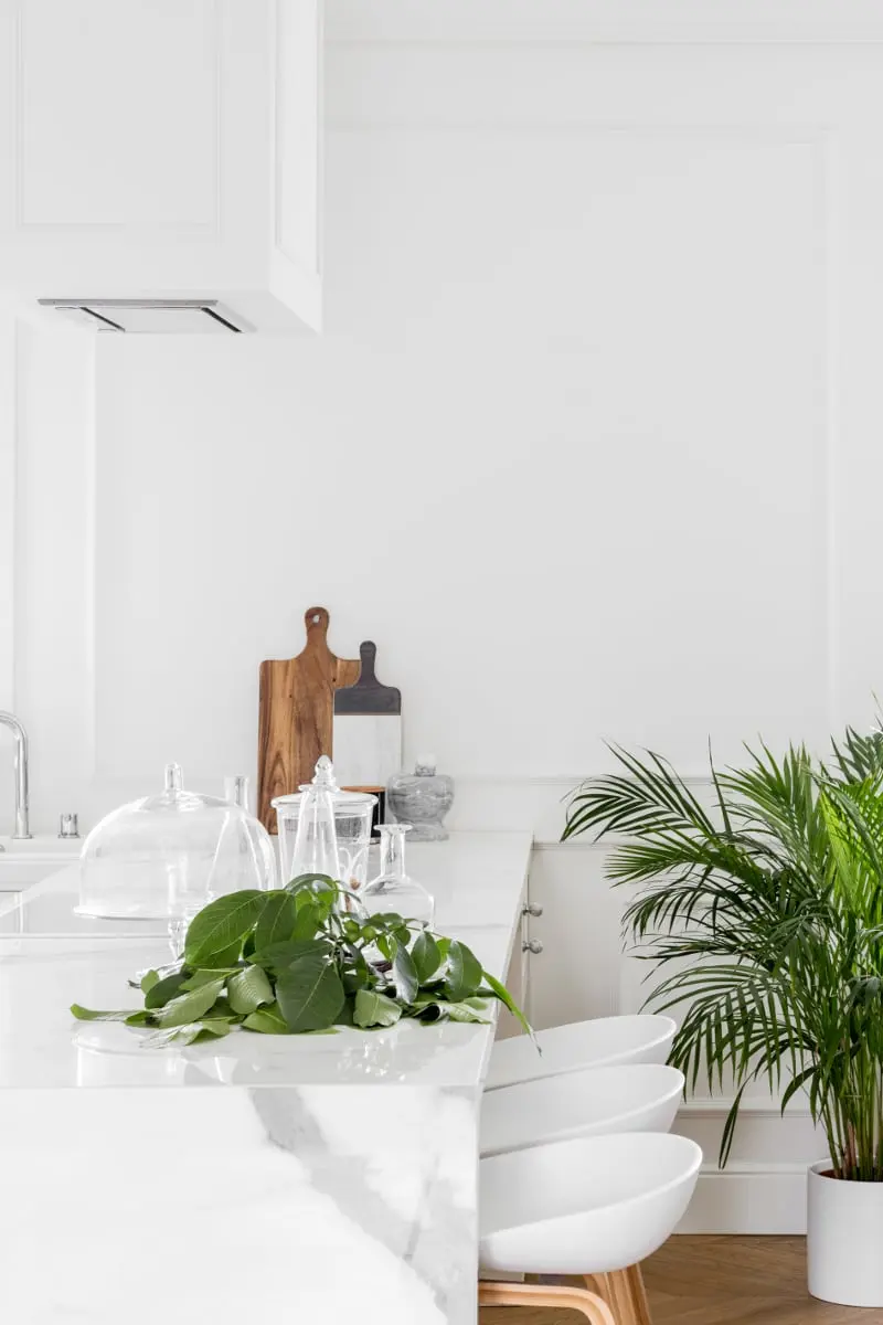 Projekt: Magdalena Śliwka (Black Deer Workshop) & Karolina Zakrzewska (Kint Studio)