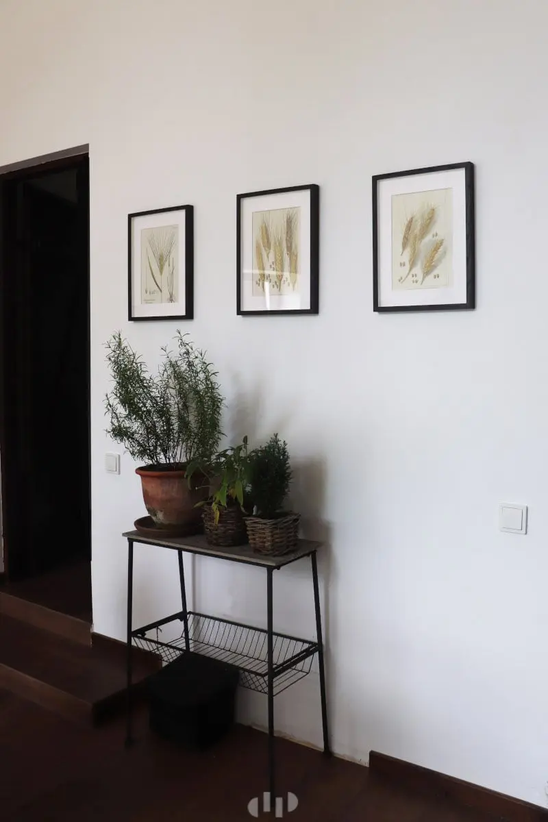 Hol | proj. Dziurdziaprojekt