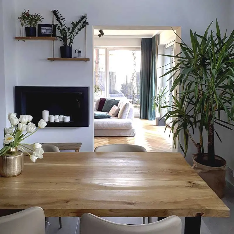 Rośliny w domu ann.living | źródło @ann.living