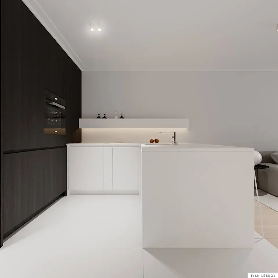 Projekt minimalistycznego apartamentu | Projekt Ivan Leskov