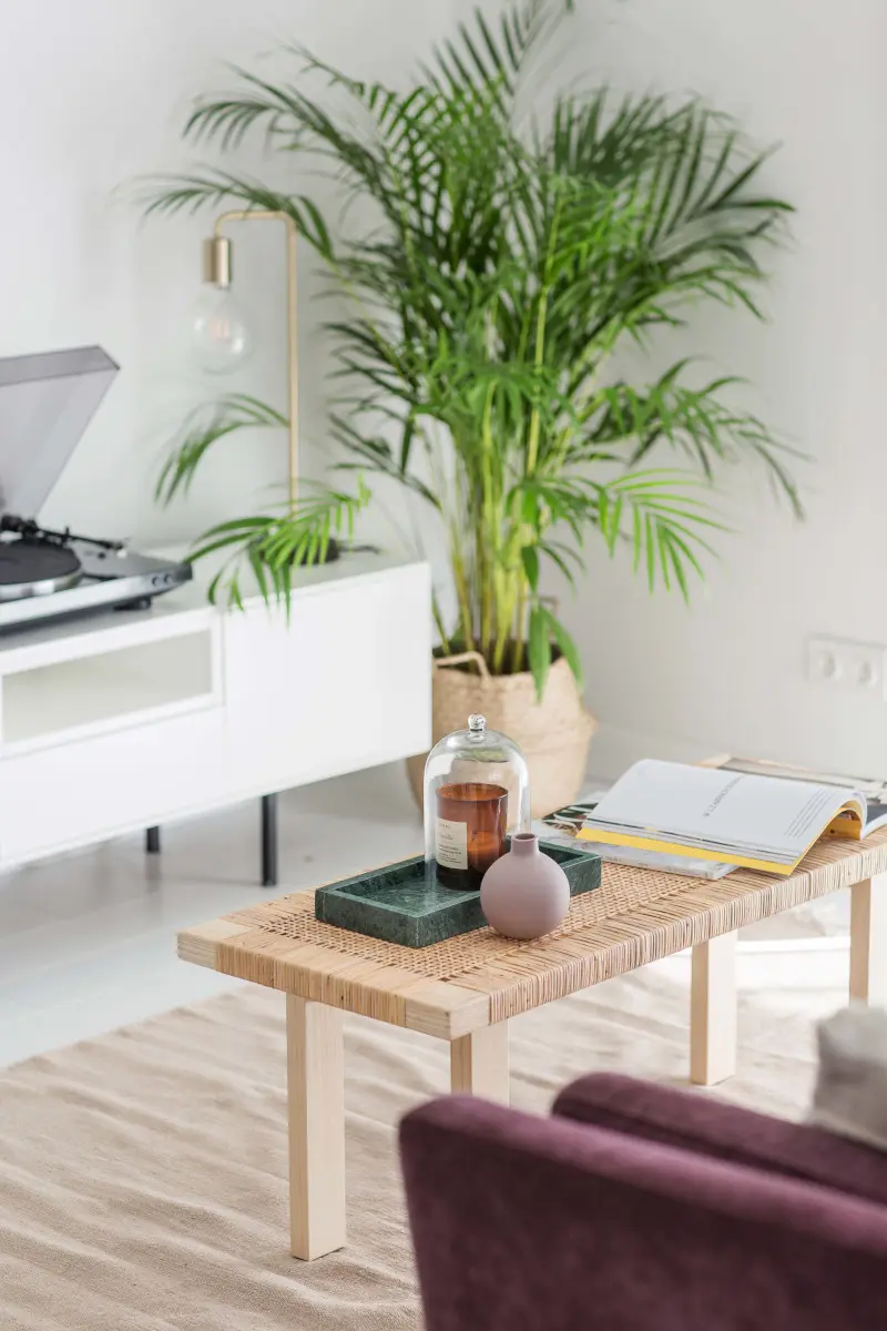 Salon | proj. Dash Interiors