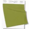 PANTONE 17-0542 Pepper Stem