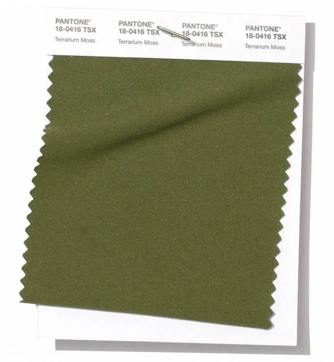 PANTONE 18-04 Terrarium Moss
