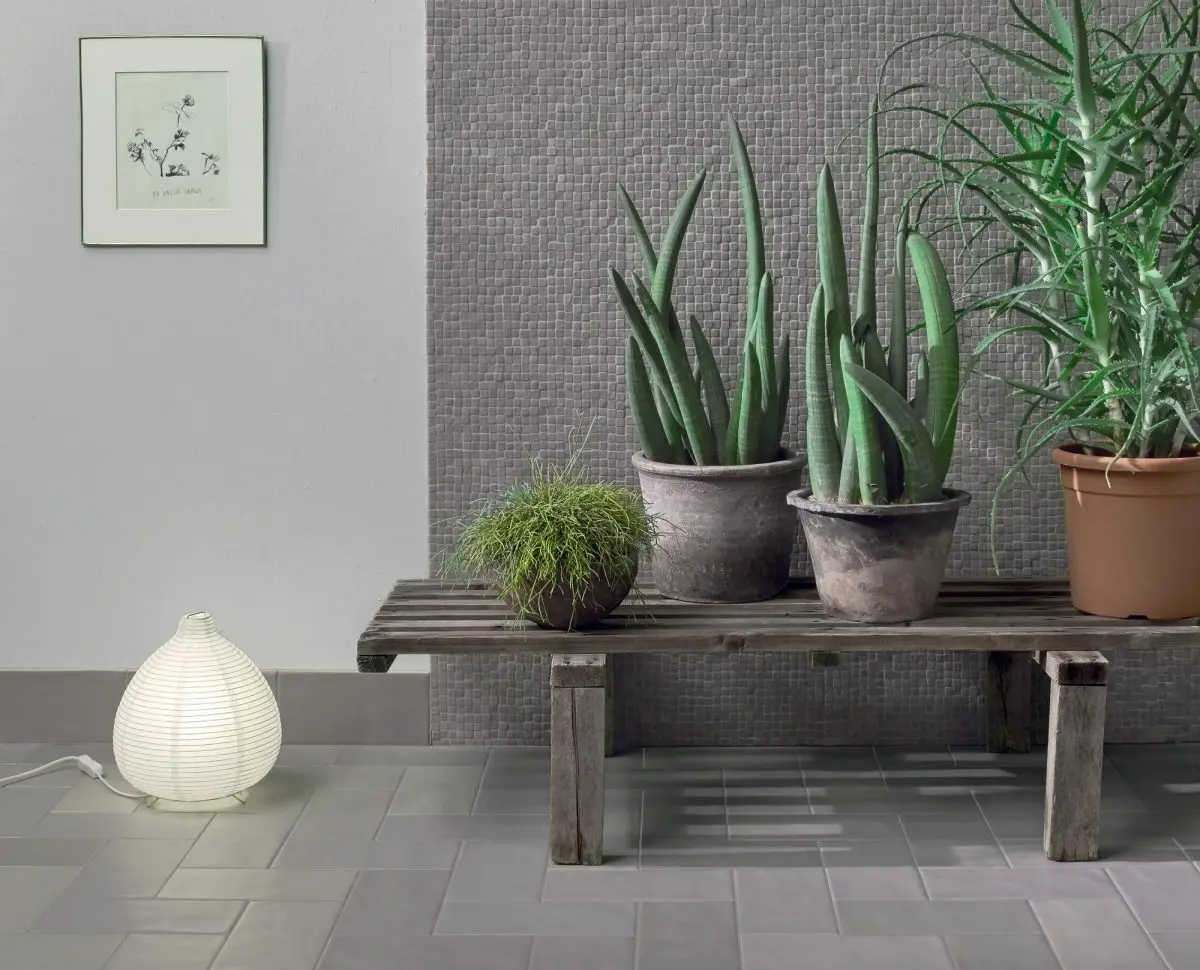 Rośliny na tle ciekawych płytek włoskiego brandu 41zero42 | produkty tej marki mamy w stałej ofercie