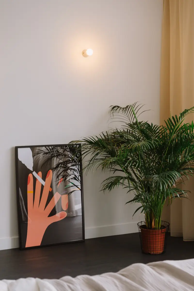 proj. MAP, zdj. PION