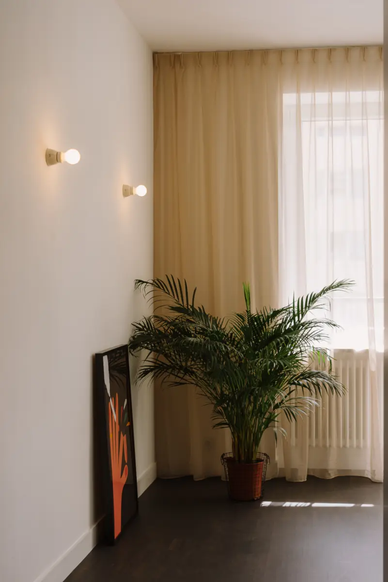 proj. MAP, zdj. PION