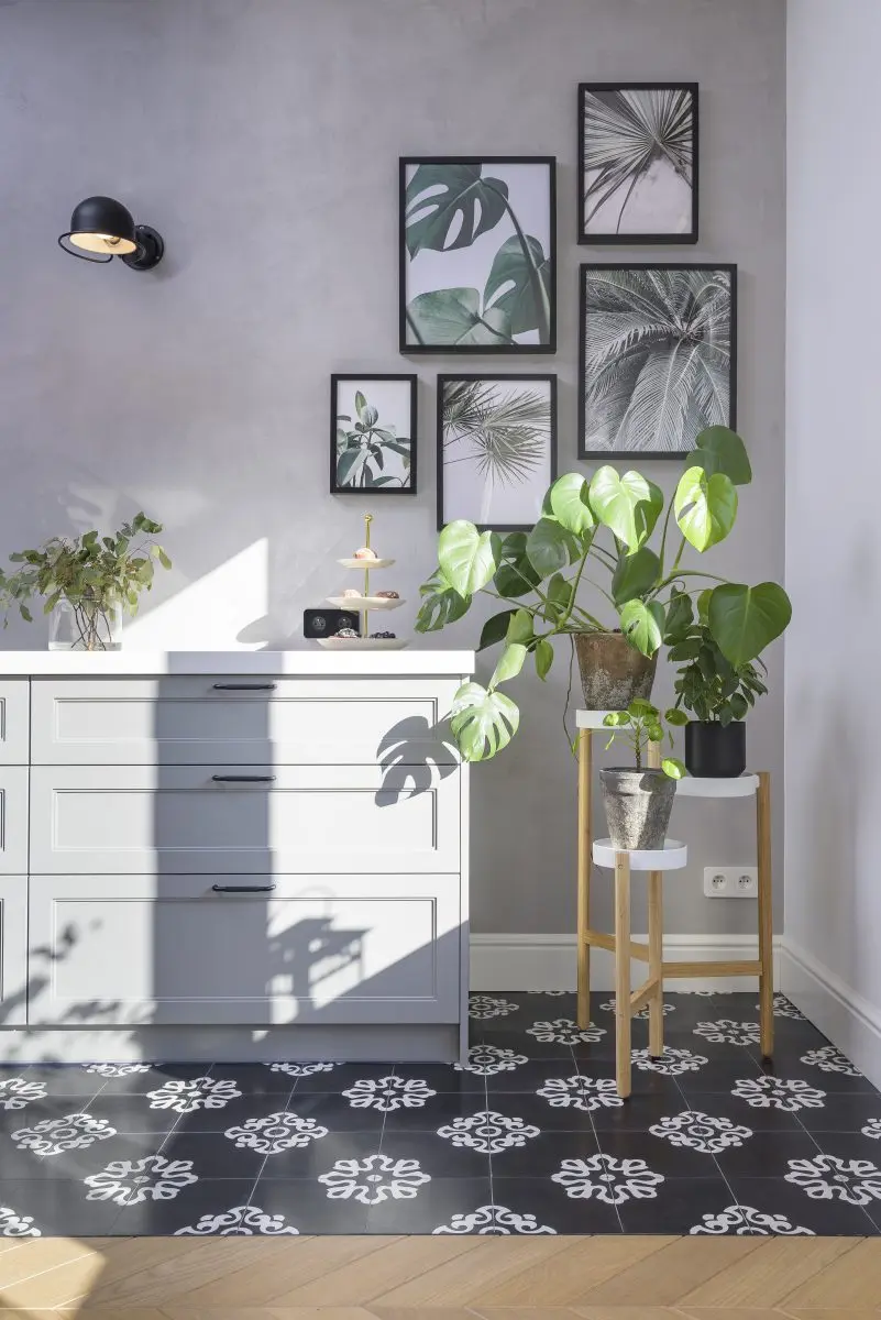 Kącik botaniczny w kuchni | proj. Eg Projekt