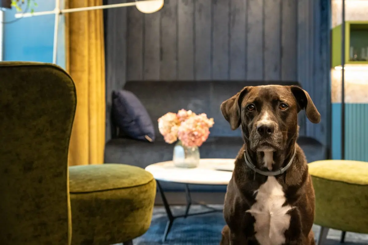 mat. pras. Mikołajska Studio | zdj. Jakub Dziedzic