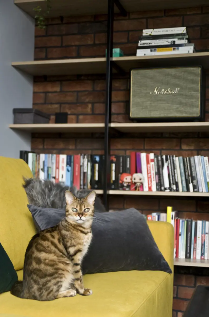 proj. Miśkiewicz Design