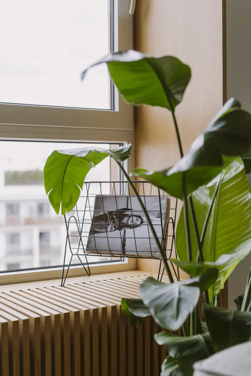 proj. Mili Młodzi Ludzie | zdj. PION Studio