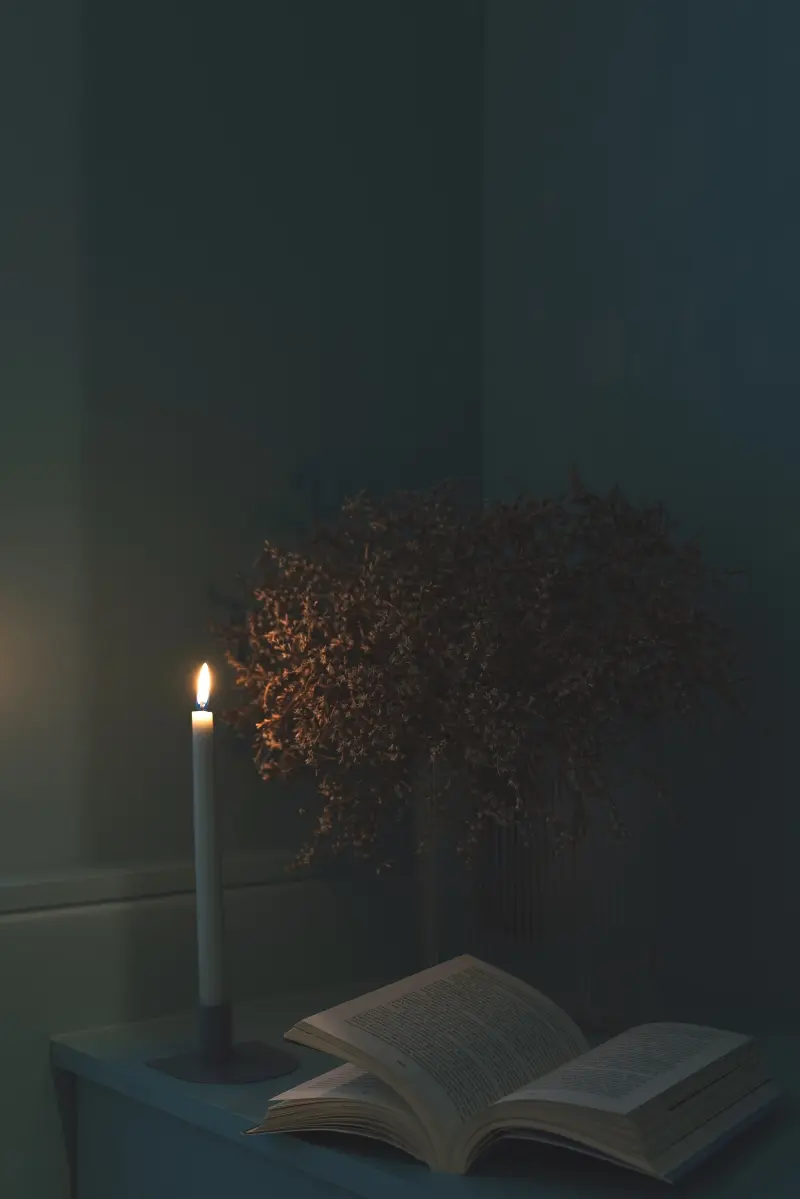 Projekt: MAUO.DESIGN; fot. Mateusz Szeliga