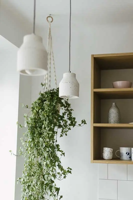 Proj.: Pigalopus: Malwina Borowiec, Karolina Chodur; Fot.: ONI