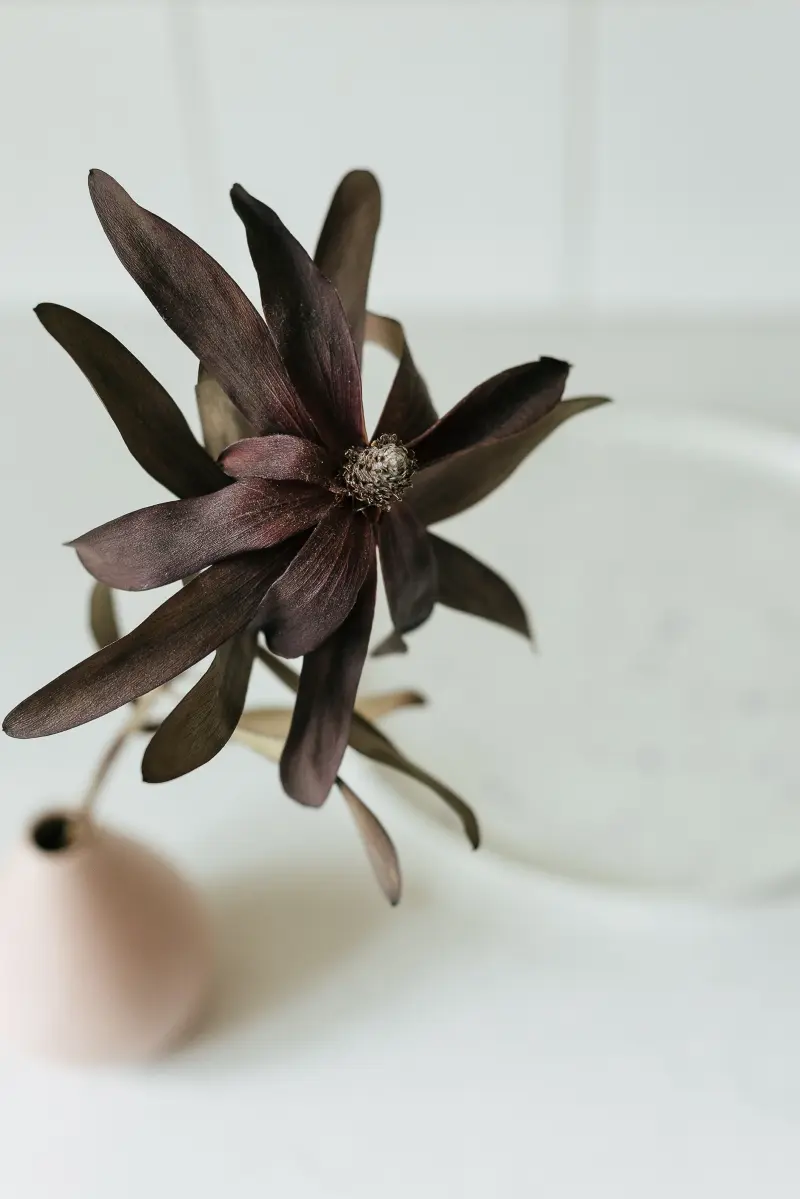 Proj.: Pigalopus: Malwina Borowiec, Karolina Chodur; Fot.: ONI