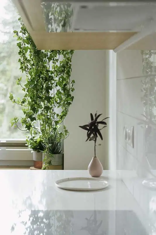 Proj.: Pigalopus: Malwina Borowiec, Karolina Chodur; Fot.: ONI