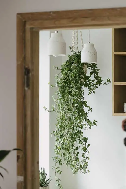 Proj.: Pigalopus: Malwina Borowiec, Karolina Chodur; Fot.: ONI