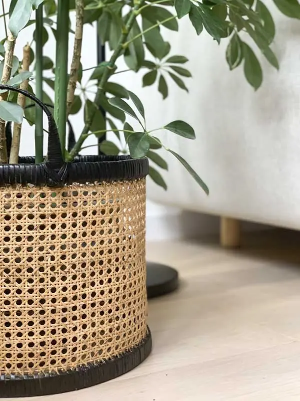 Projekt: Dembowska studio architektury oraz JAG studio architektury.