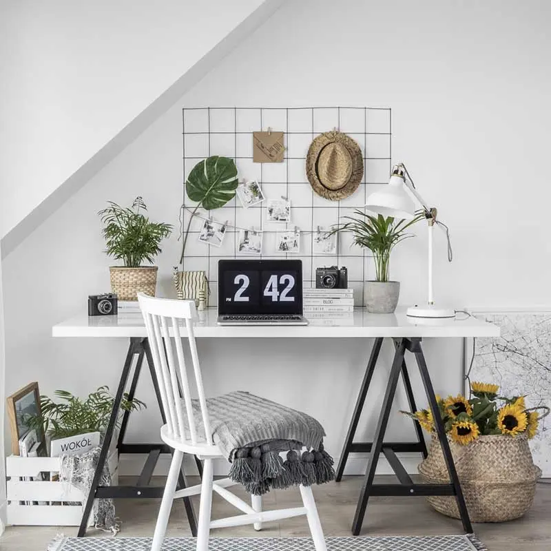 źródło: @tam_i_tu_pauli