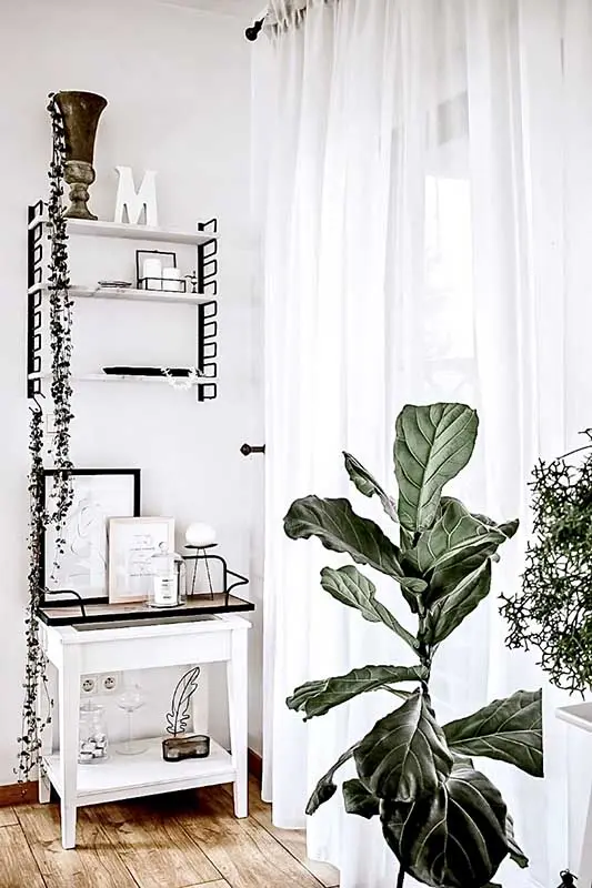 Źródło: @pavitalia