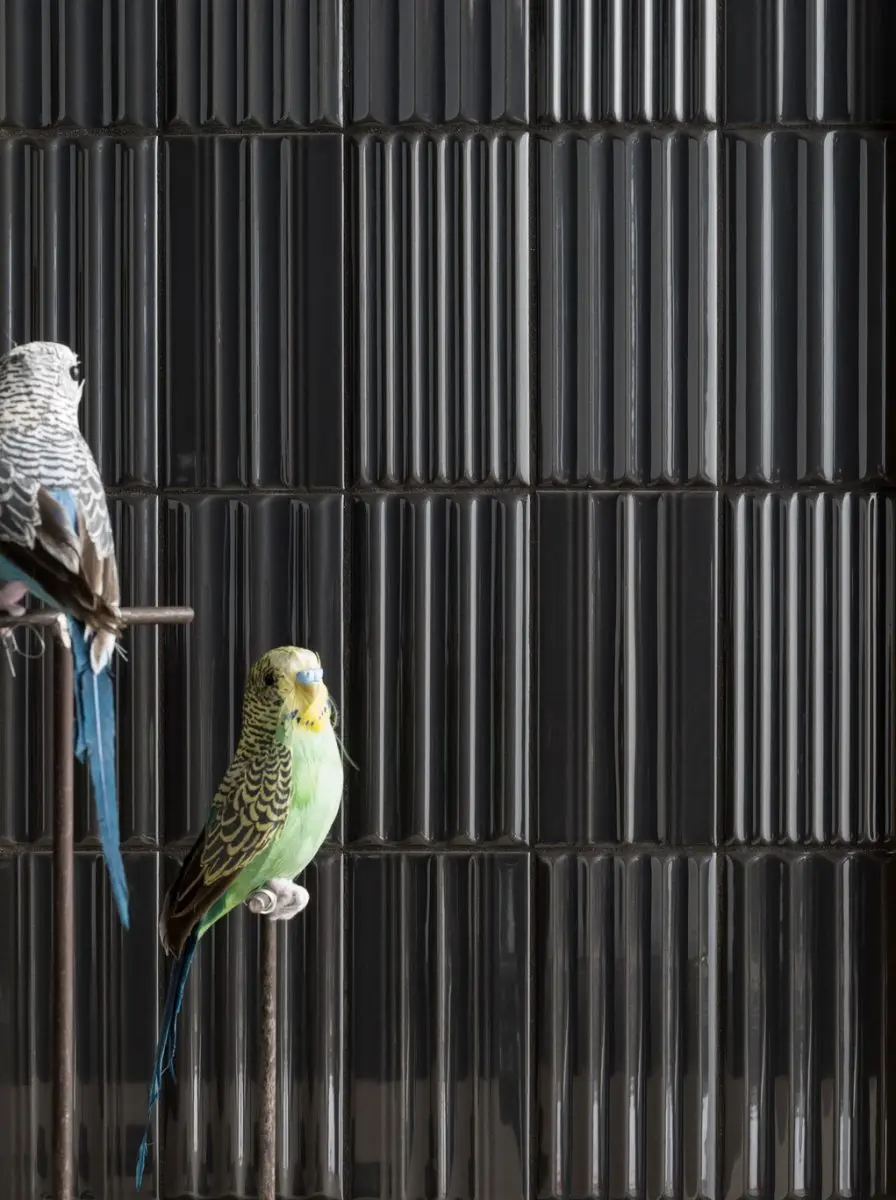 Kolekcja WigWag 41zero42 jest dostępna w naszych showroomach