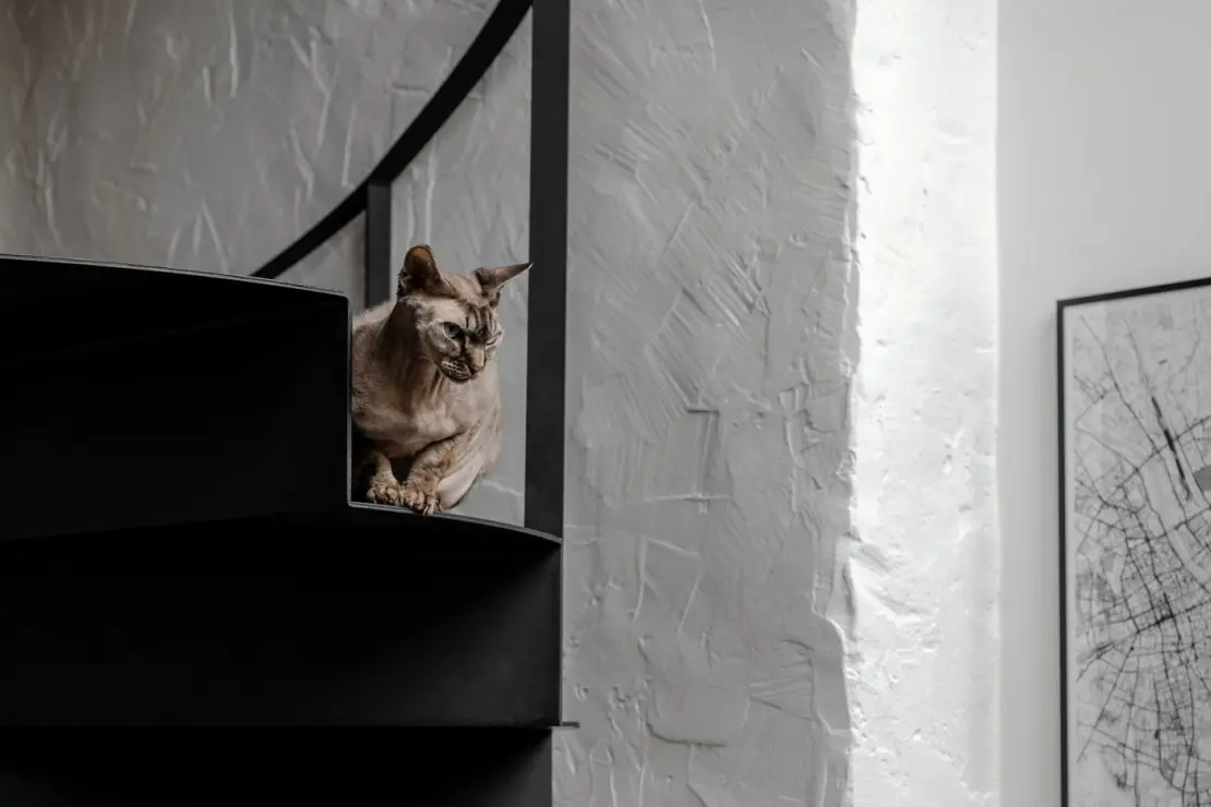 Loft z widokiem na dachy kamienic i PKiN