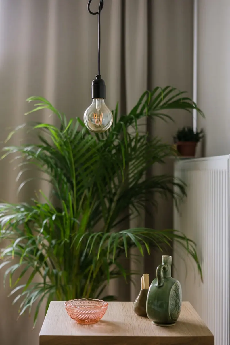 Proj. Mili Młodzi Ludzie, Fot.: Zdjęcia: PION