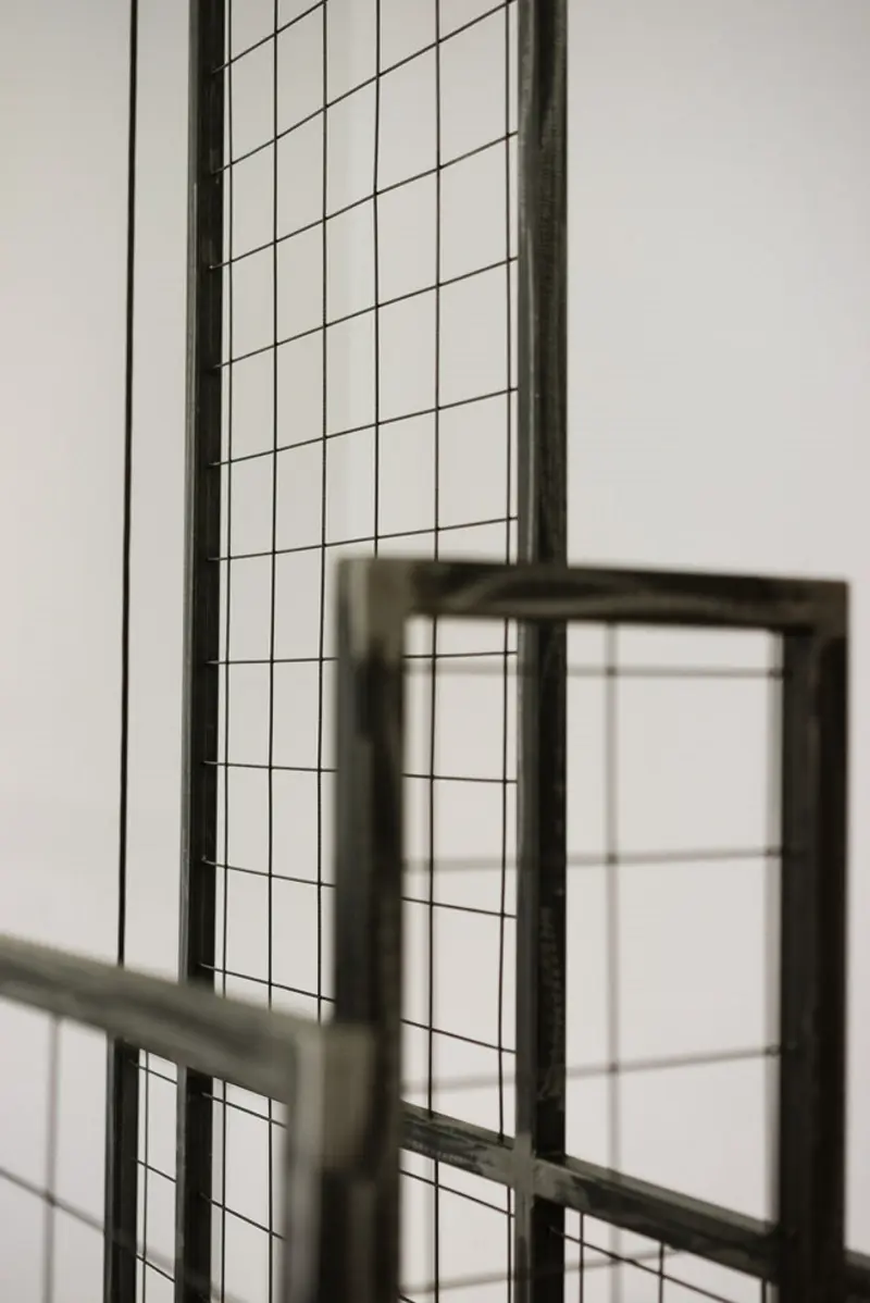 Proj. Mili Młodzi Ludzie, Fot.: Zdjęcia: PION