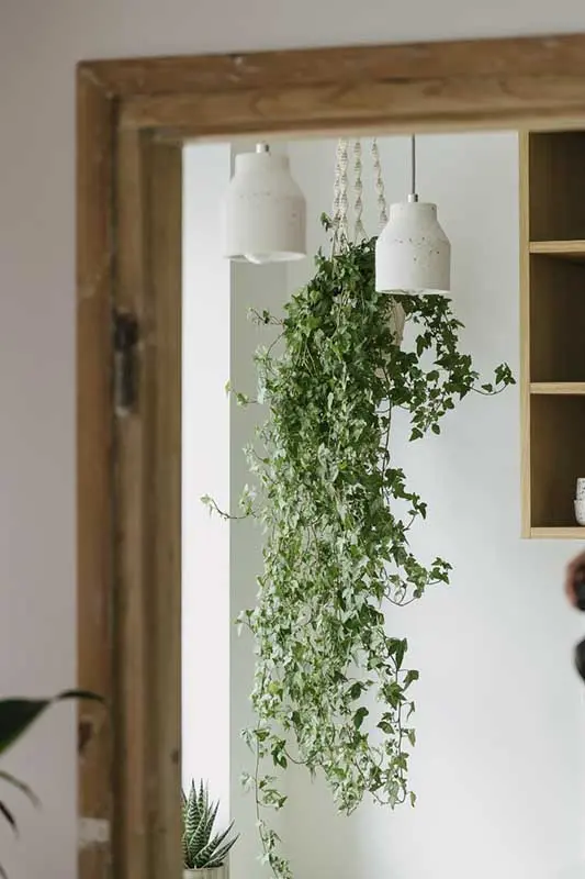 Proj.: Pigalopus: Malwina Borowiec, Karolina Chodur; Fot.: ONI