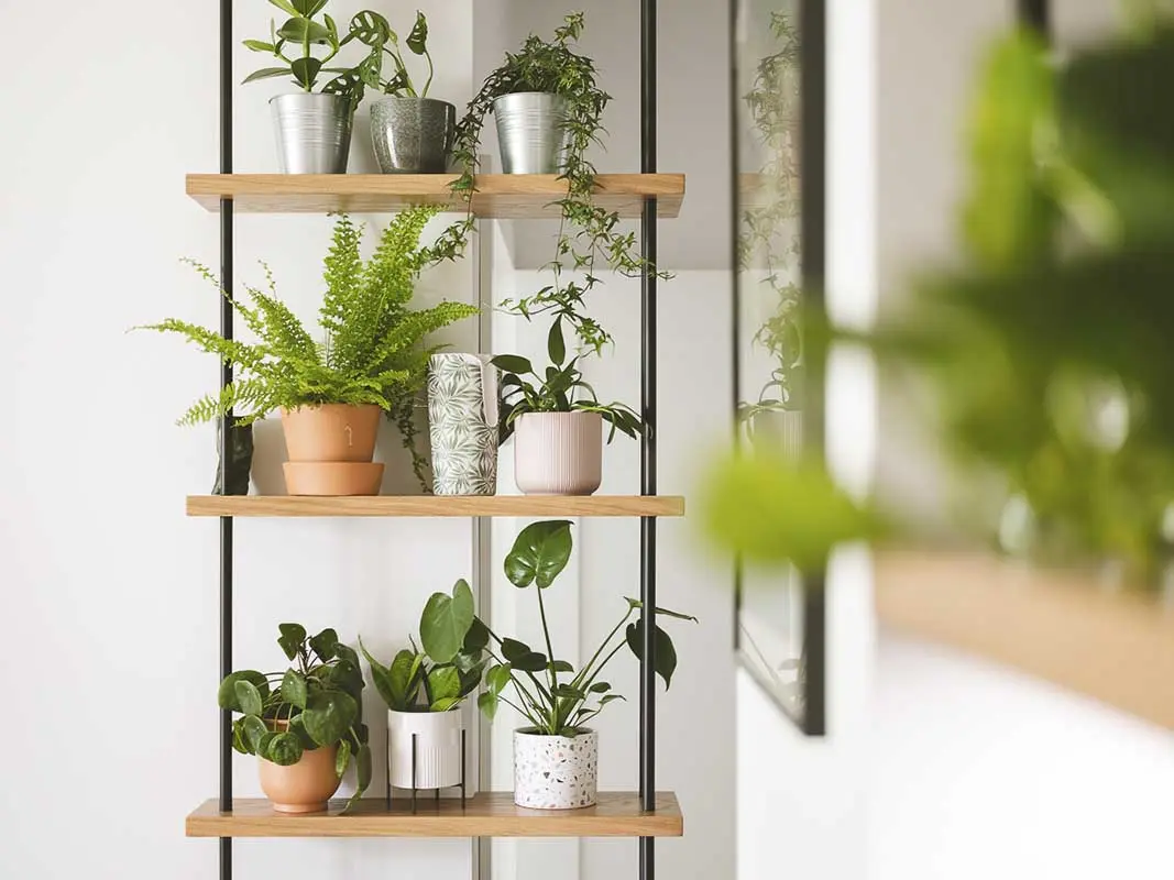 a2forma - pracownia projektowa