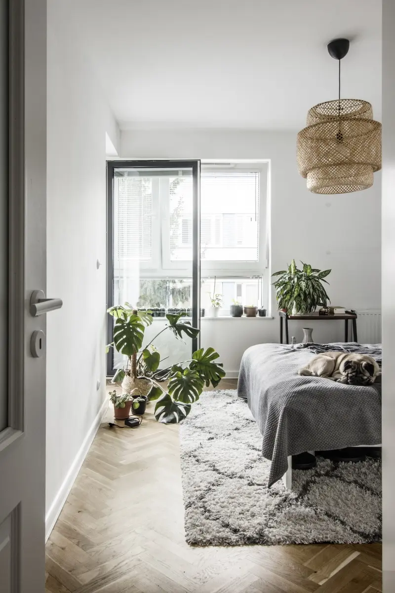 Projekt: NORESTSTUDIO