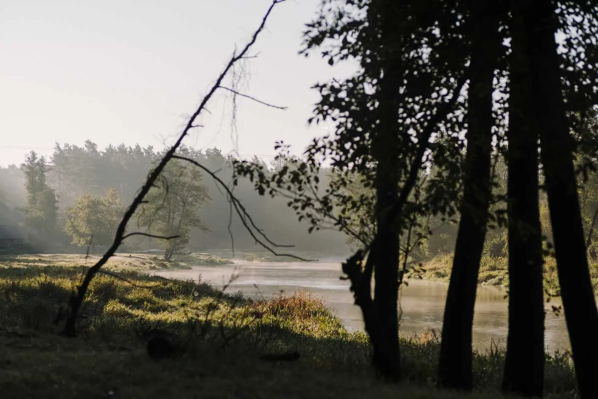 Działka znajduje się bezpośrednio przy rzece