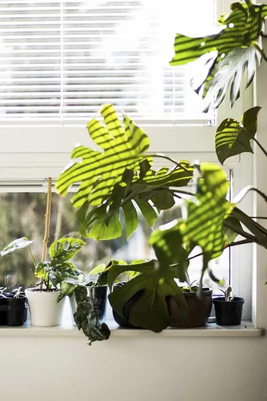 Projekt: NORESTSTUDIO