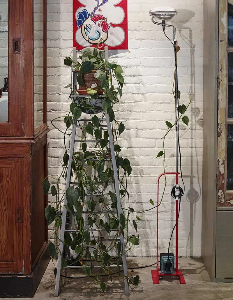 Lampa podłogowa Toio | Proj.: Achille & Pier Giacomo Castiglioni, 1962