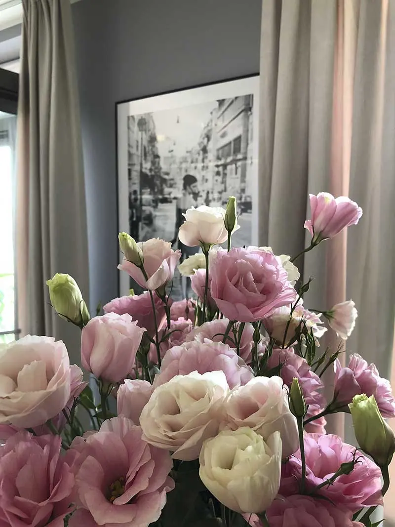 Tropiki i błękity w nieziemskim mieszkaniu | Proj: TIM Arc by TiM Grey