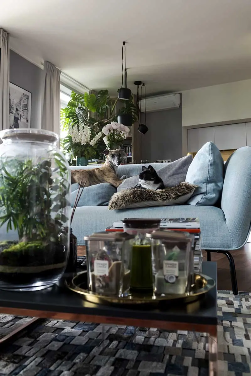 Tropiki i błękity w nieziemskim mieszkaniu | Proj: TIM Arc by TiM Grey