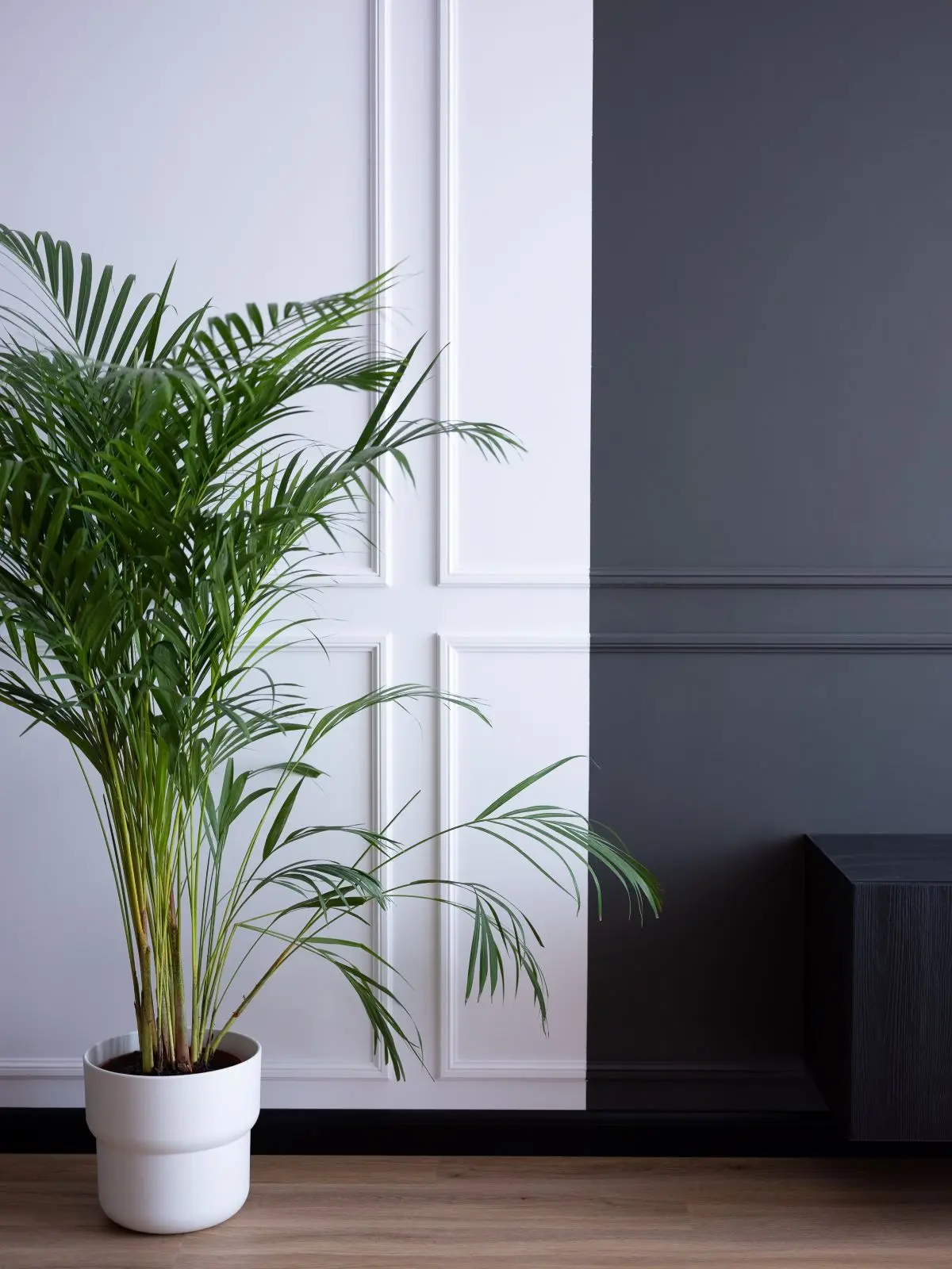 PROJEKTANT EMOCJI | Wywiad o wnętrzach z Michałem Sumera