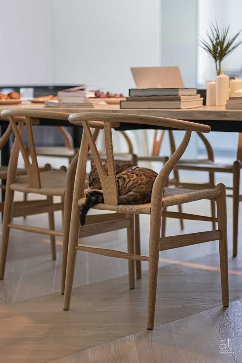 Przytulny i harmonijny 350 metrowy apartament | Proj: Adrianna Terlikowska Studio