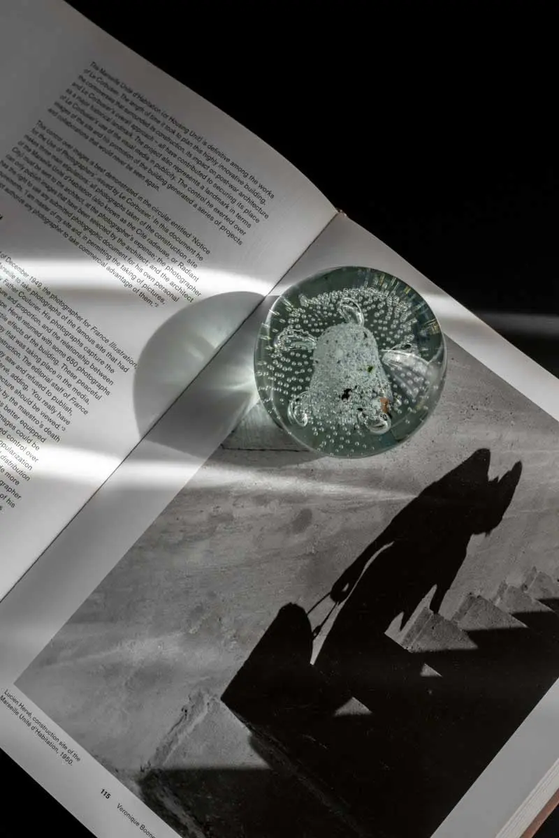 Proj.: CECHOWNIA Pracownia Architektury Wnętrz