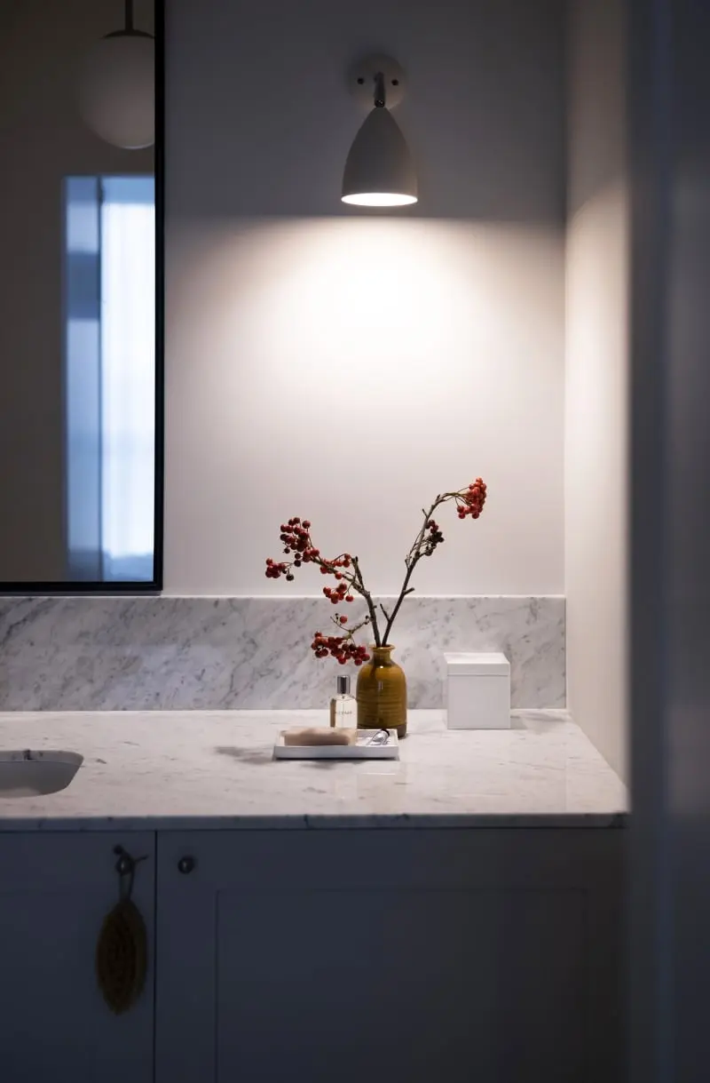 Harpa; fot.: NPA PHOTOGRAPHY